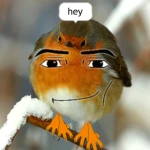 Fresh out the nest Group Thumbnail