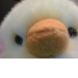 Chicky