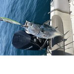 ST JOHNS FL FISHING CLUB
