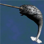 The Narwhal Group