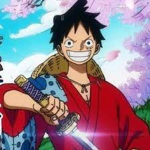 The Straw Hat Pirates ツ