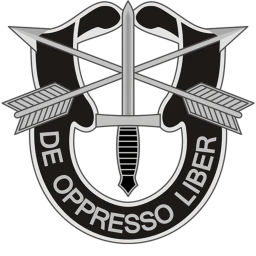 The Green Berets icon
