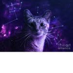 Galaxies :)
