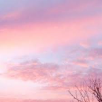 Sunset Ari<3