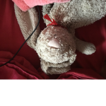 Bunny unicorn