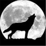 wolves of the moon