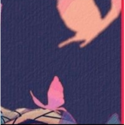 ;ଓ