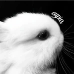 eupia Group Thumbnail