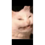 T2HE