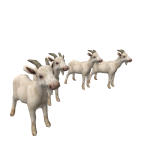 Goat Army