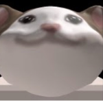 Pop Cat’s Home