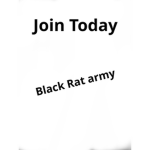 Black Rat Army
