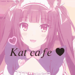 the kat café