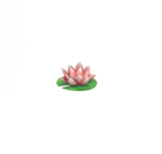 nature’s lotuses