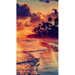 ❤️Beach Vibe (Beta)