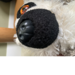 Lennythelemur