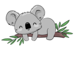 THE KOALA FAMILY!!