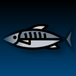 Mackerel Studio