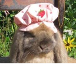 >> strawberry bunnies <<