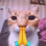 crazycatzfor3ver