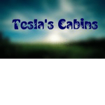 Tesla's Cabins