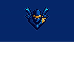 NICE NINJA