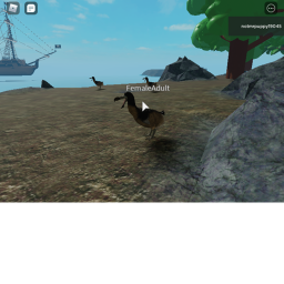 dodo island