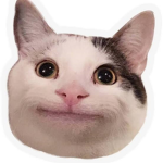 Ollie The Polite Cat Fan Group