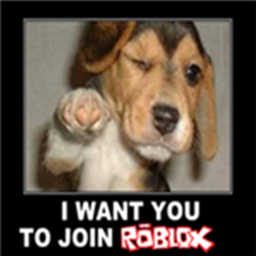{ORIGINAL} DOG OBBY