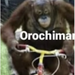 Monkey…