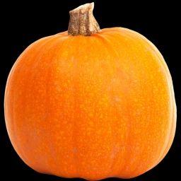 pumpkins icon