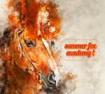 SummerF0x Academy