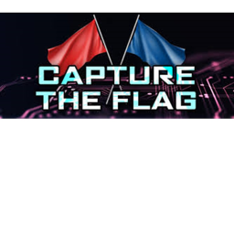 Roblox Capture the flag tournement