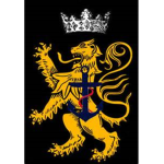 královské námořnictvo (TCE Royal Navy)