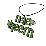 nae 3.0