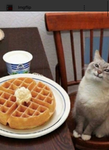 evreone can join i just want freinds