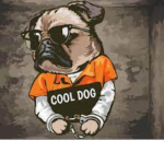 Cool pug group10th