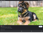 Hi can you join me pls
