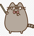 3rd grade cats