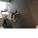 RobuxForGames