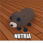 Las nutrías pro
