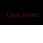 The UnknownYT fan group