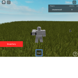 Weight Simulator