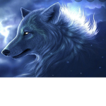 Wolf Element Studio