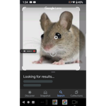 Mouse Men.