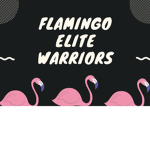 The flamingo ELITE warriors