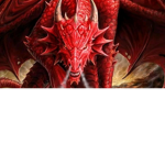 DragonPianist Offical Fan Club
