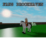 FANS BROOKHAVEN