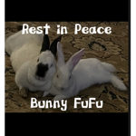 RIP Bunny Fufu