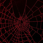 SpiderLegs